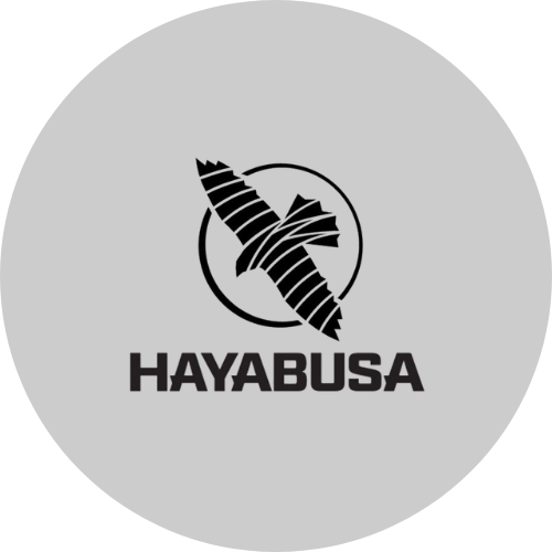 HAYABUSA