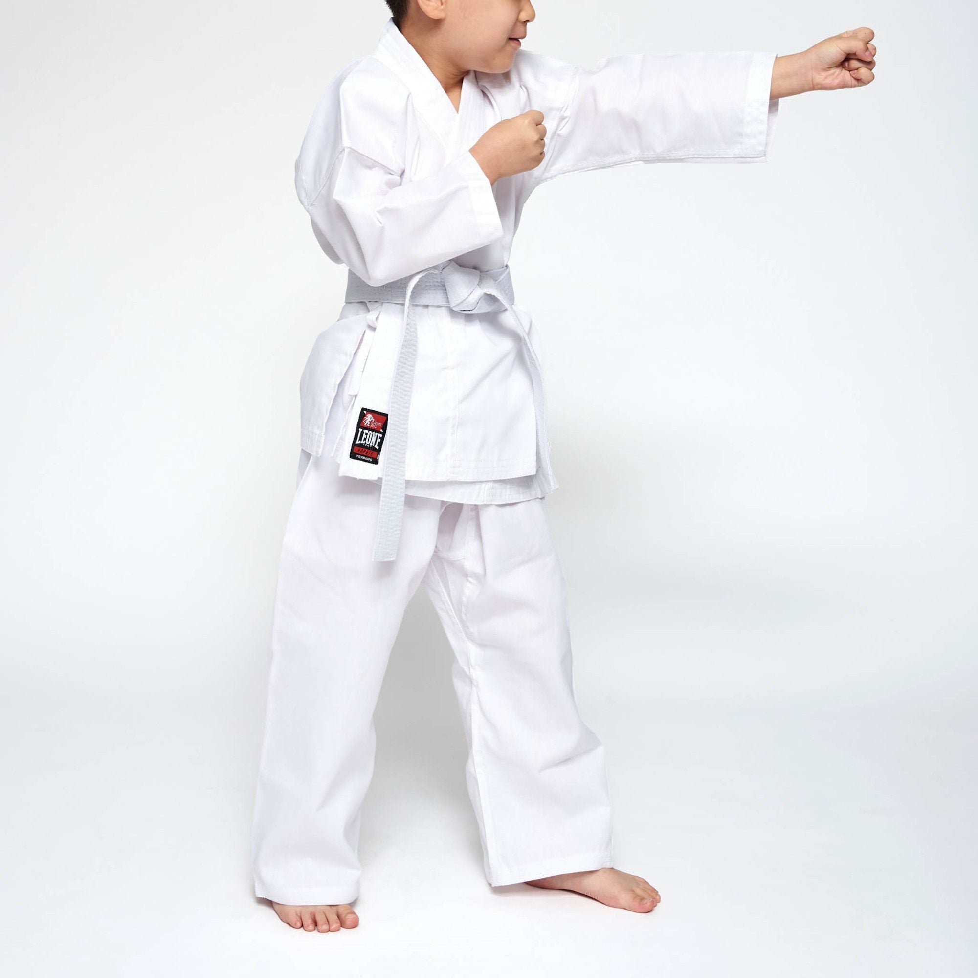 KARATEGI TRAINING LEONE - KARATE