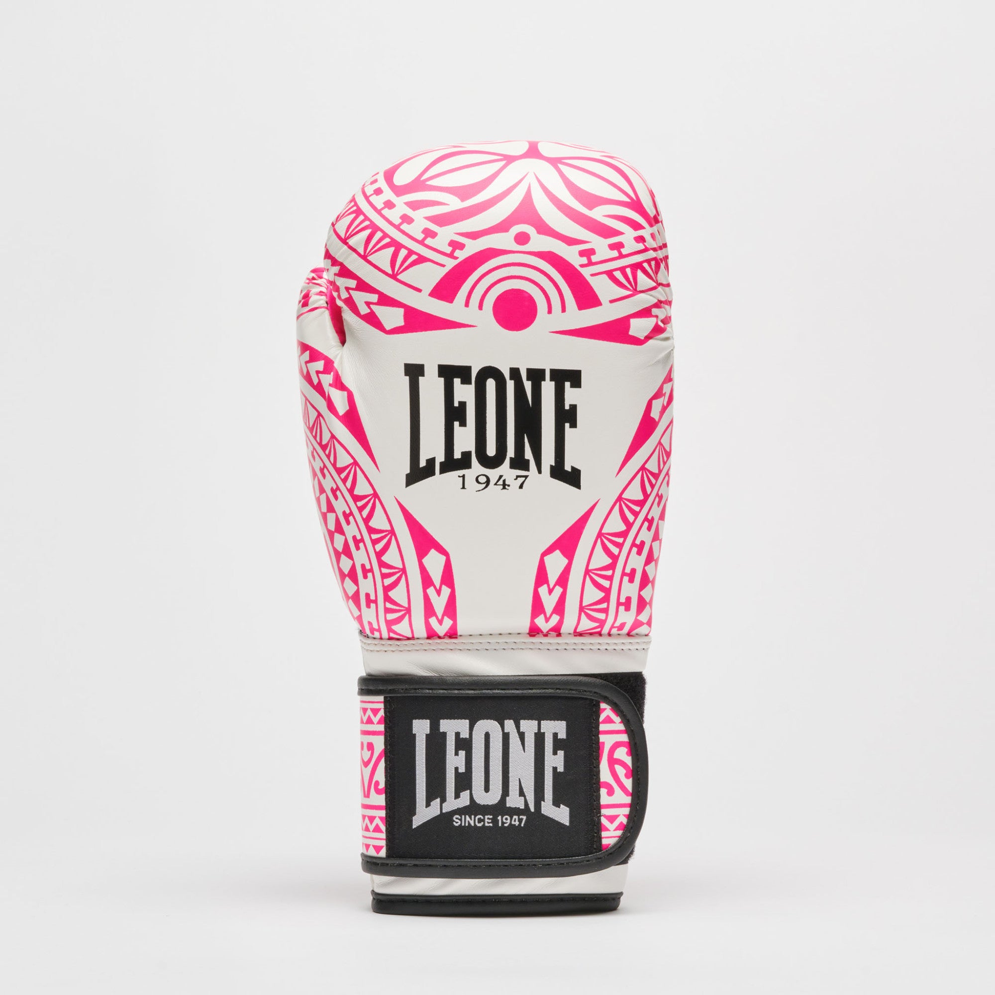 GUANTI DA BOXE HAKA LEONE