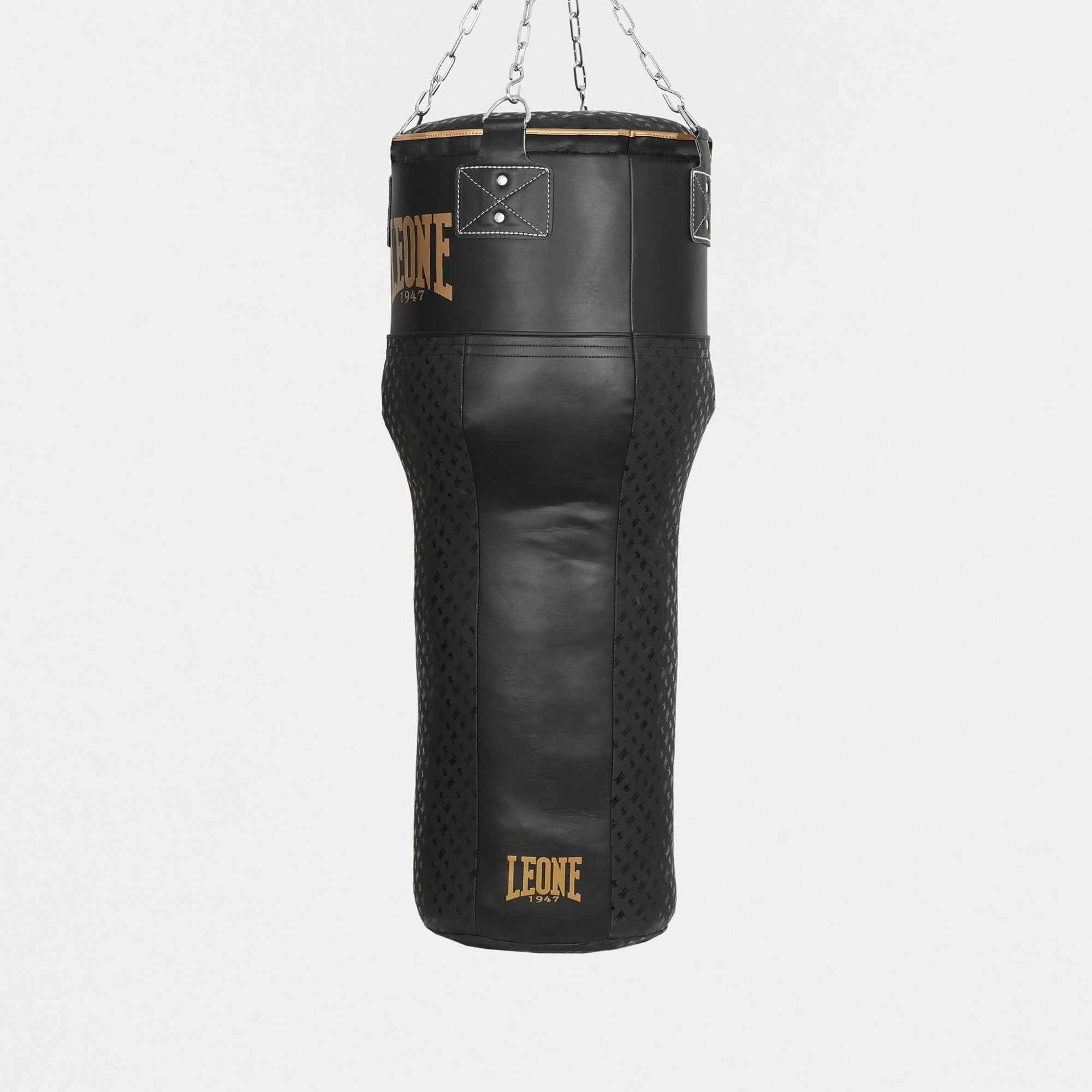 SACCO ALLENAMENTO ''T'' DNA LEONE