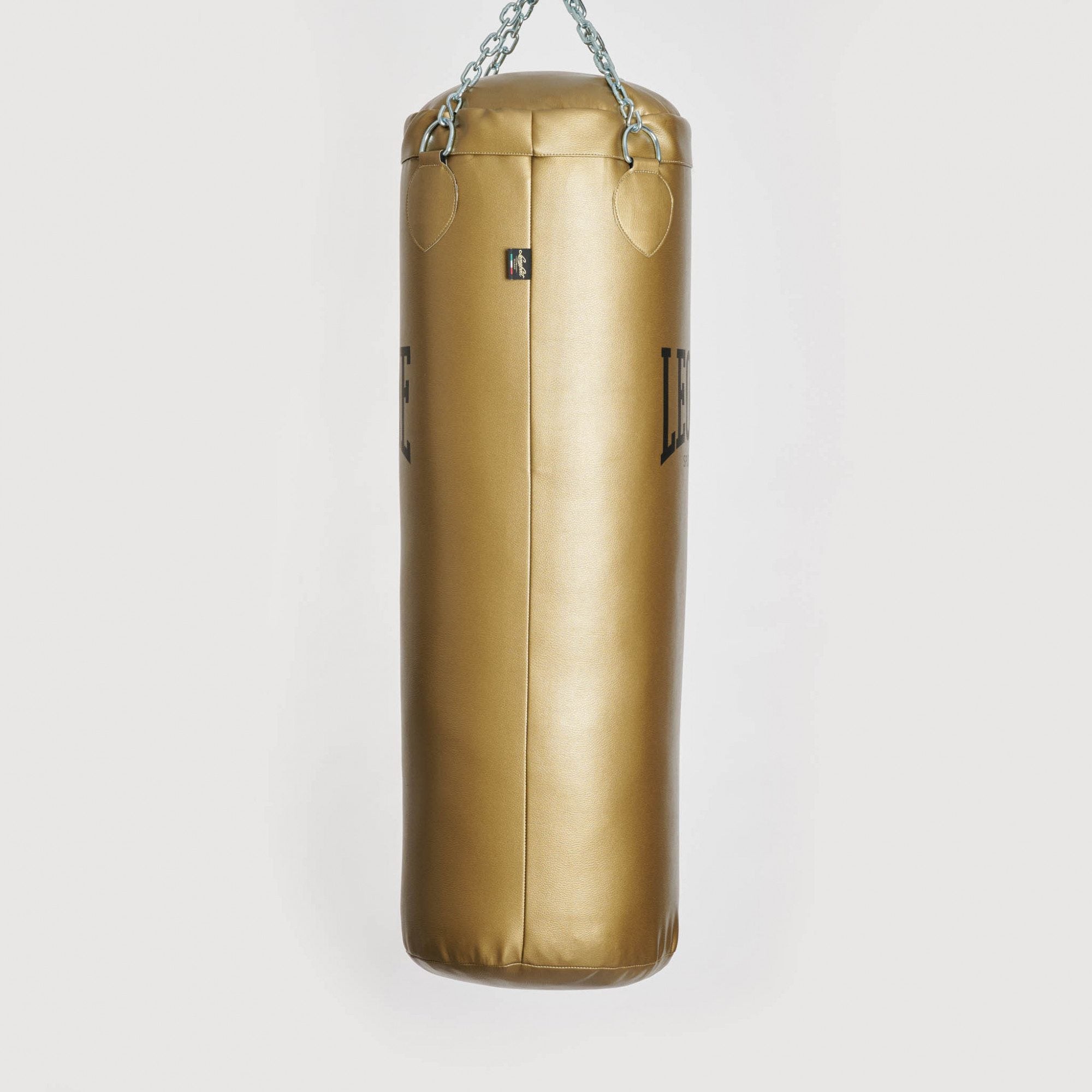 SACCO DA ALLENAMENTO APOLLO VINTAGE LEONE