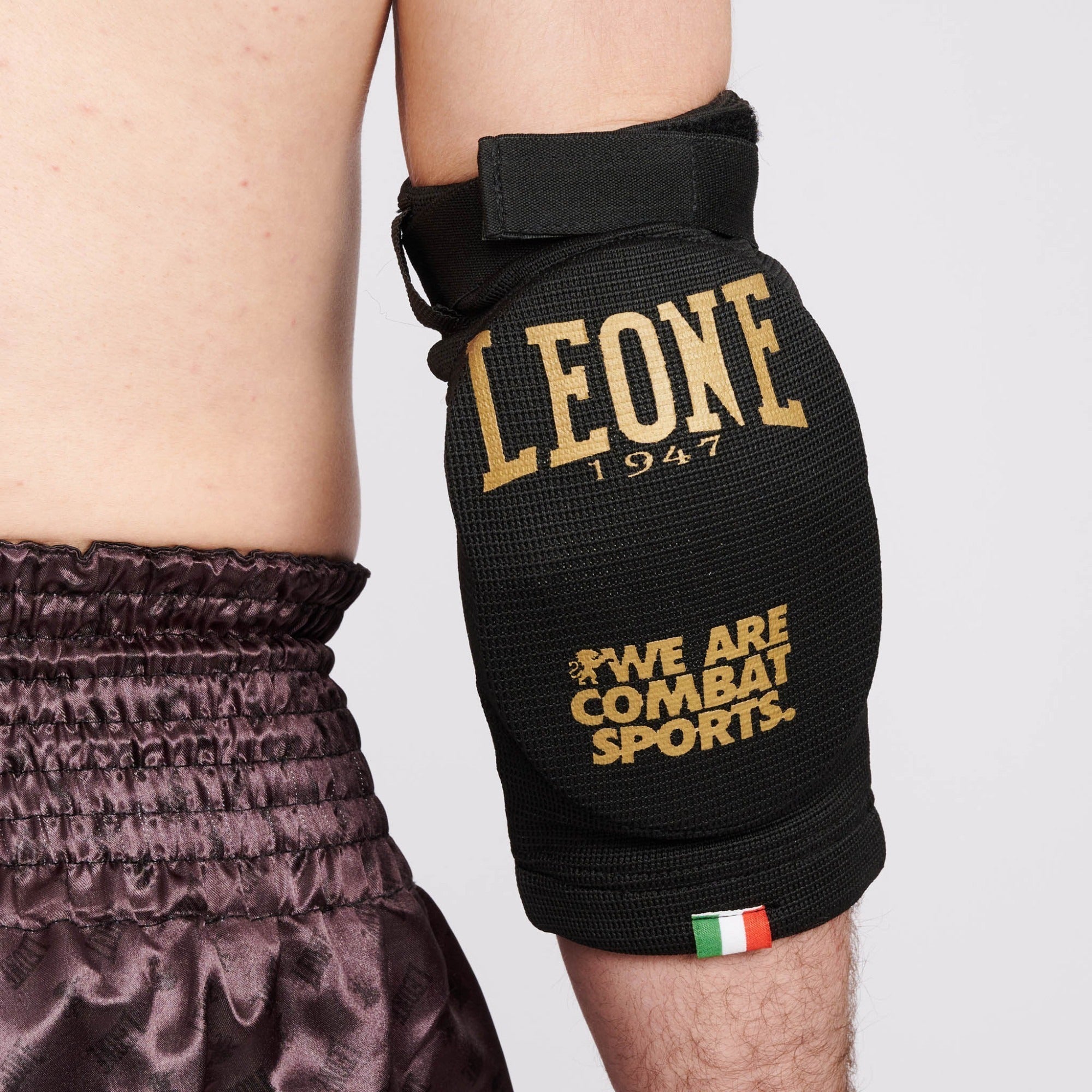 PARAGOMITI LEONE