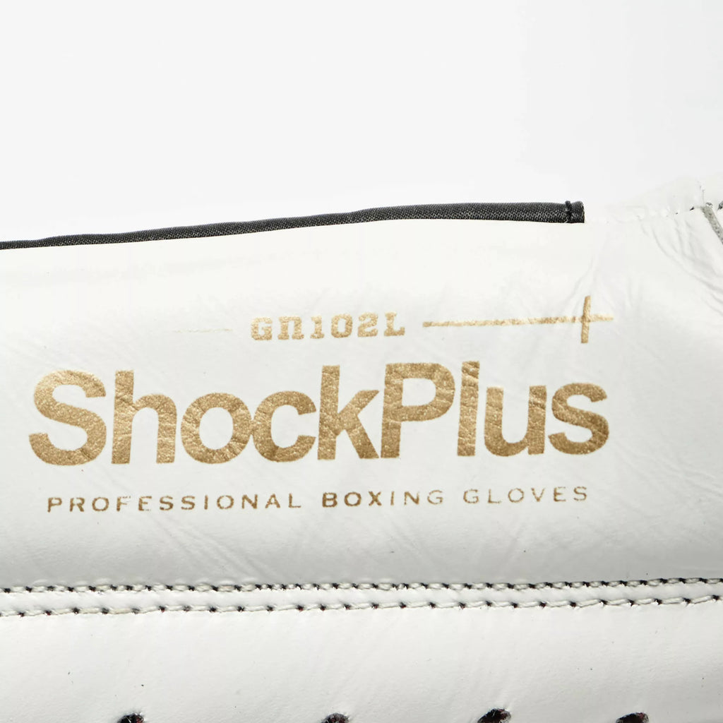 GUANTI BOXE SHOCK PLUS LEONE