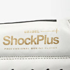 GUANTI BOXE SHOCK PLUS LEONE