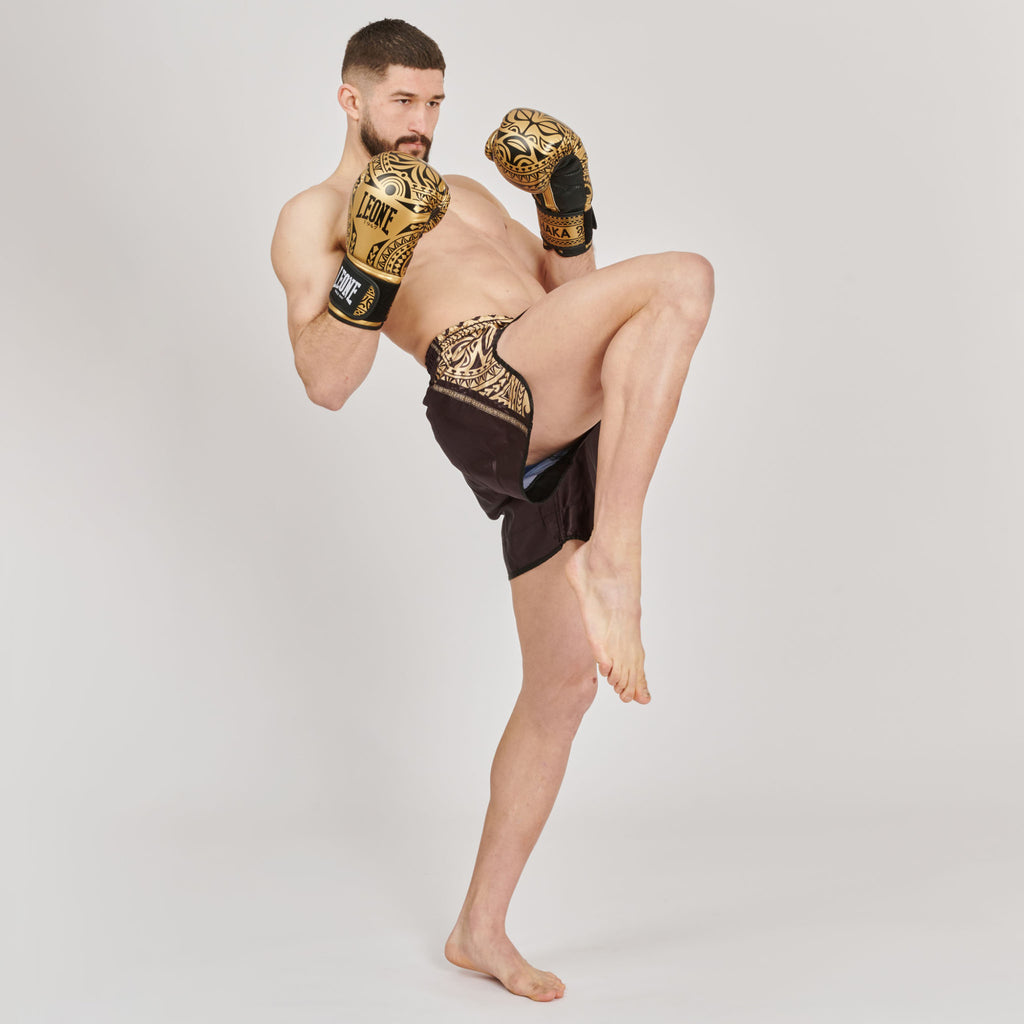GUANTI DA BOXE HAKA LEONE