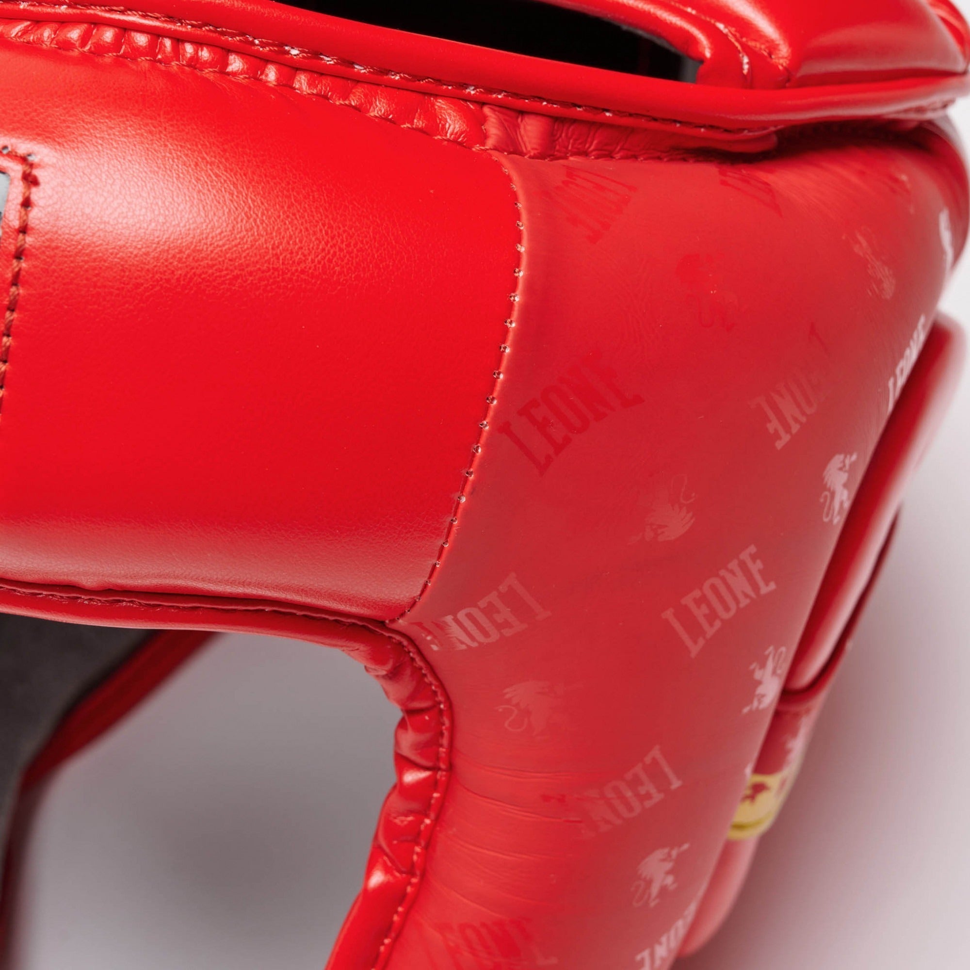 CASCO DNA LEONE