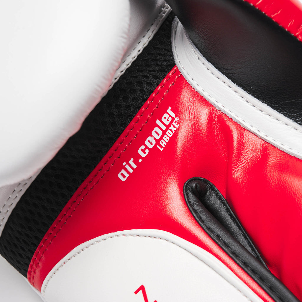 GUANTI DA BOXE IL TECNICO N3 LEONE