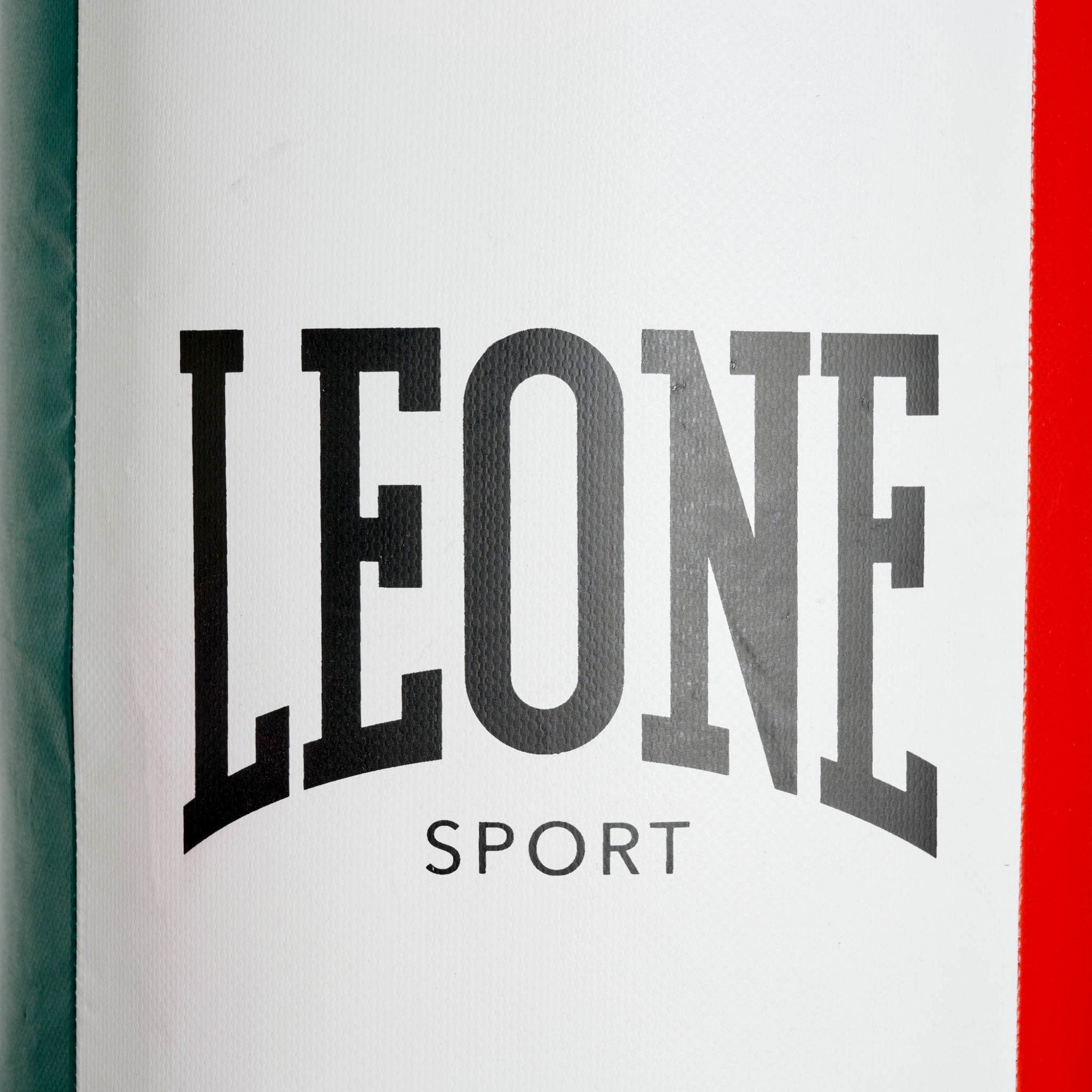 SACCO DA ALLENAMENTO APOLLO VINTAGE LEONE