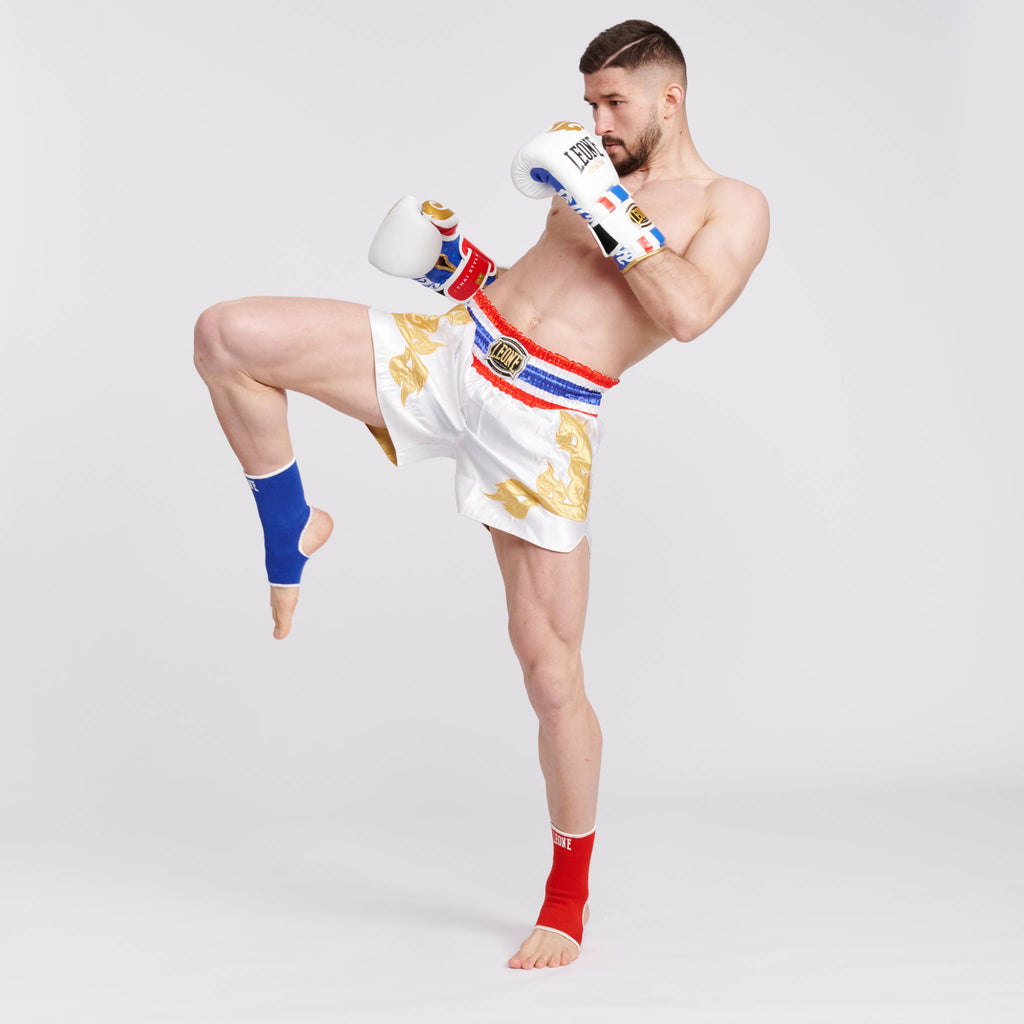 GUANTI DA BOXE THAI STYLE LEONE