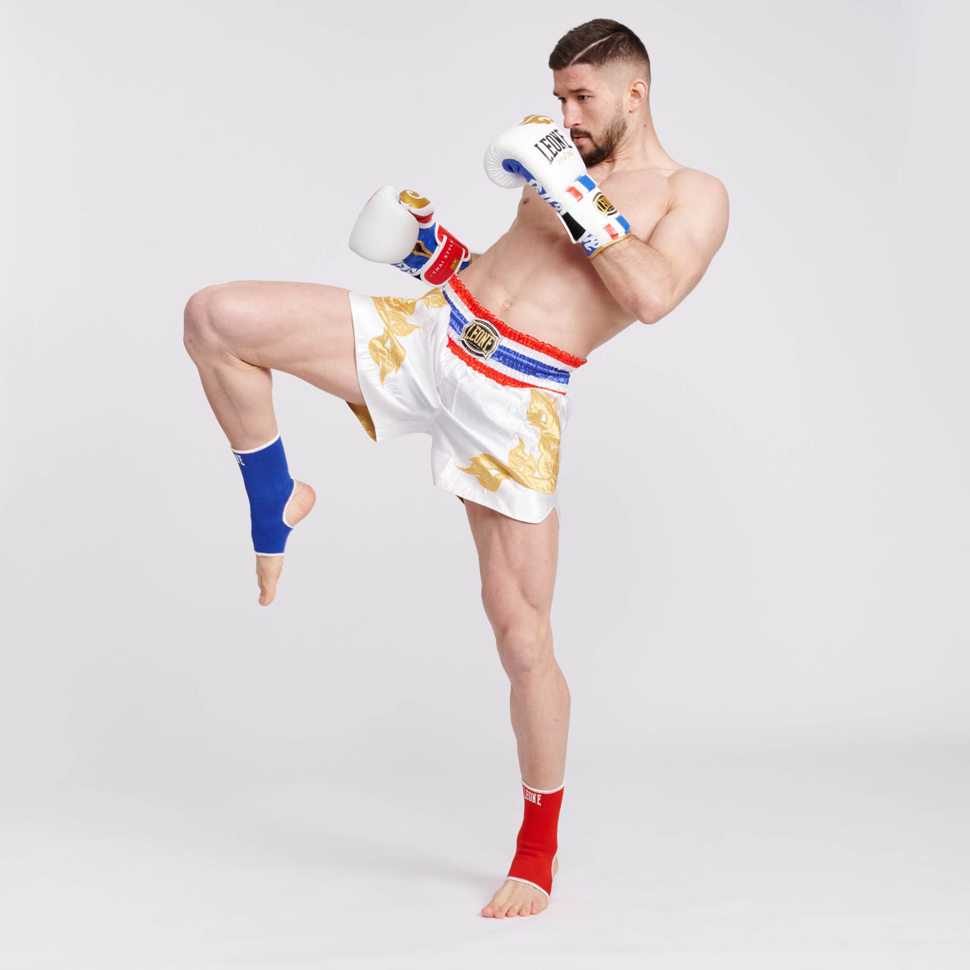 GUANTI DA BOXE THAI STYLE LEONE