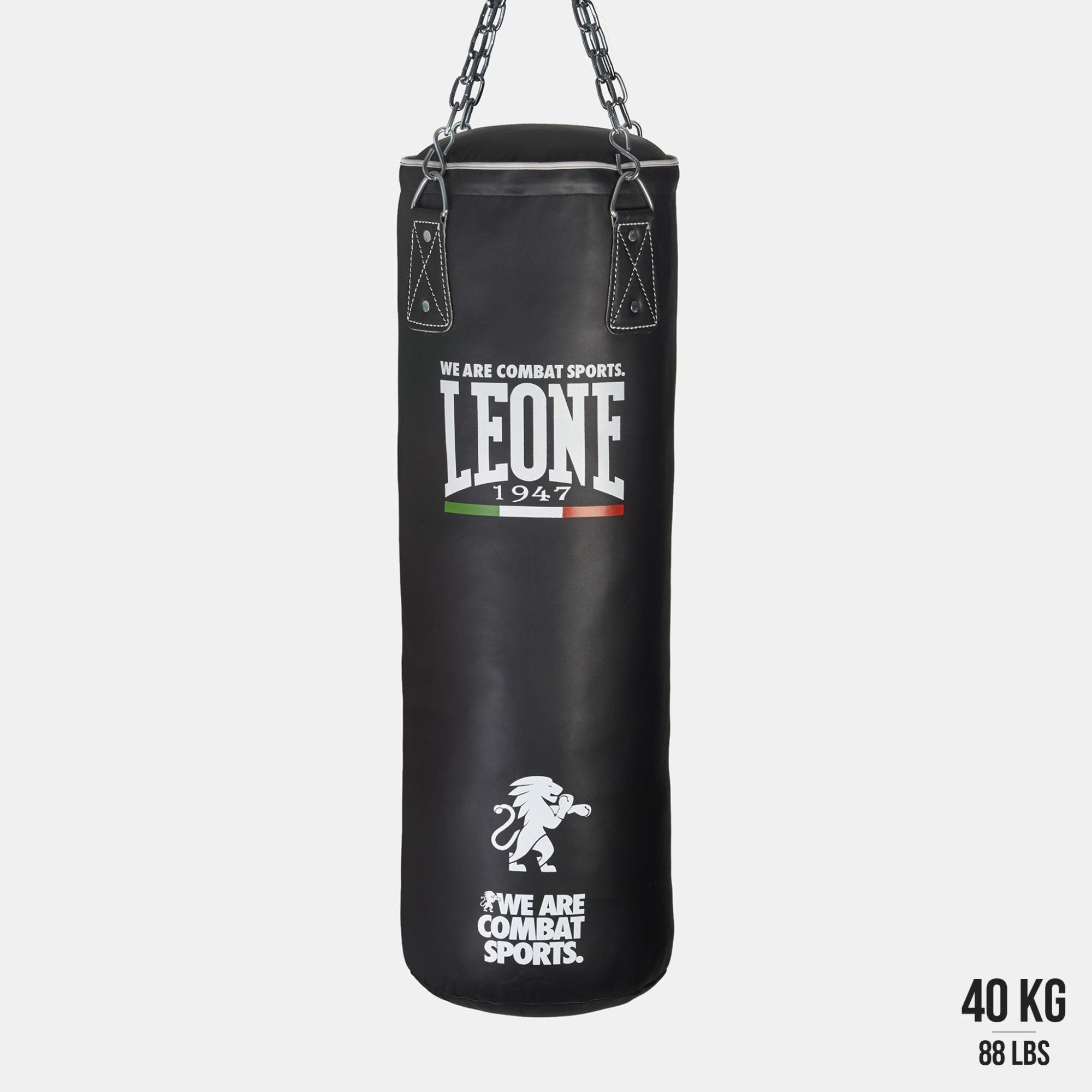 Sacco allenamento pro Leone