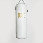 SACCO DA ALLENAMENTO APOLLO VINTAGE LEONE