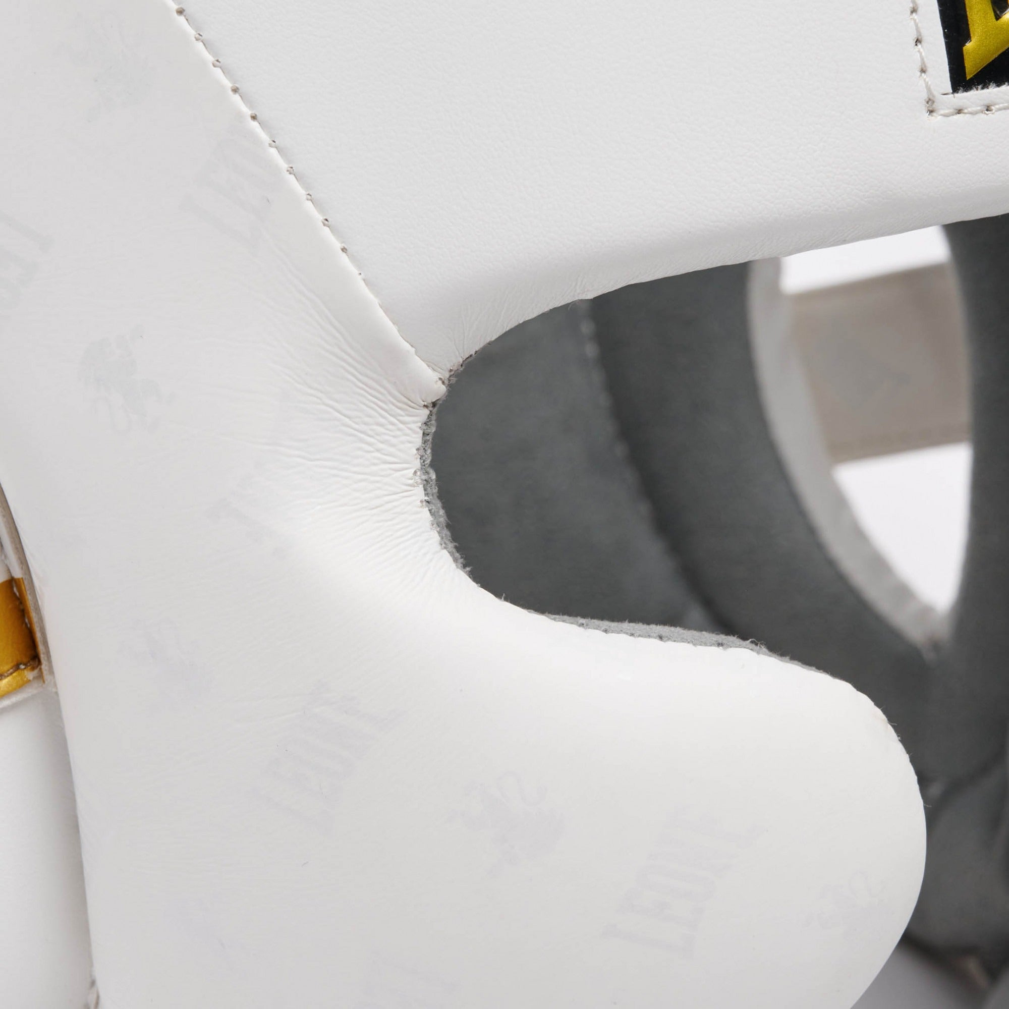 CASCO DNA LEONE