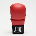 GUANTI DA FIT/KARATE LEONE