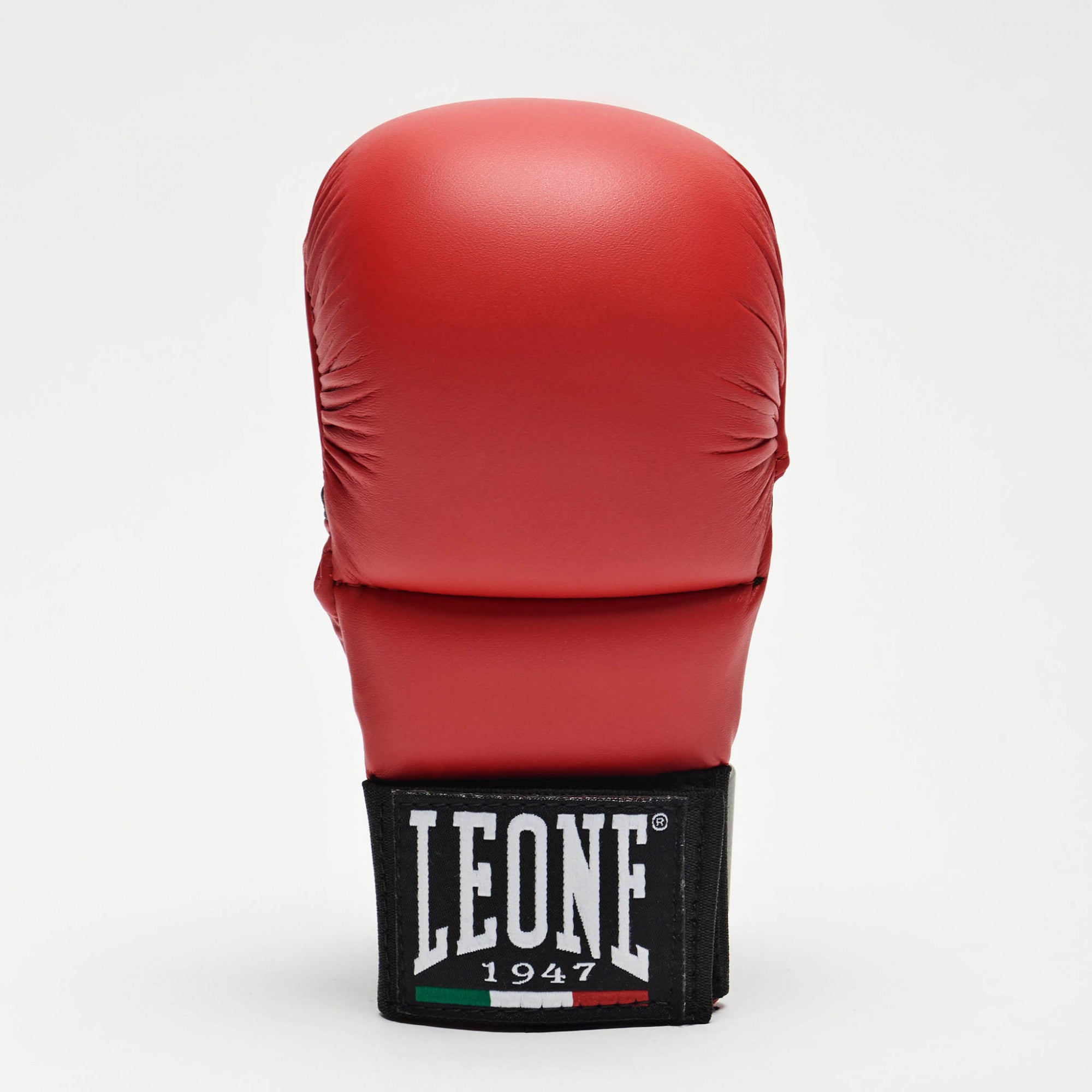 GUANTI DA FIT/KARATE LEONE