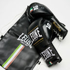 GUANTI BOXE SHOCK PLUS LEONE