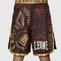 PANTA MMA LEGIONARIVS II LEONE