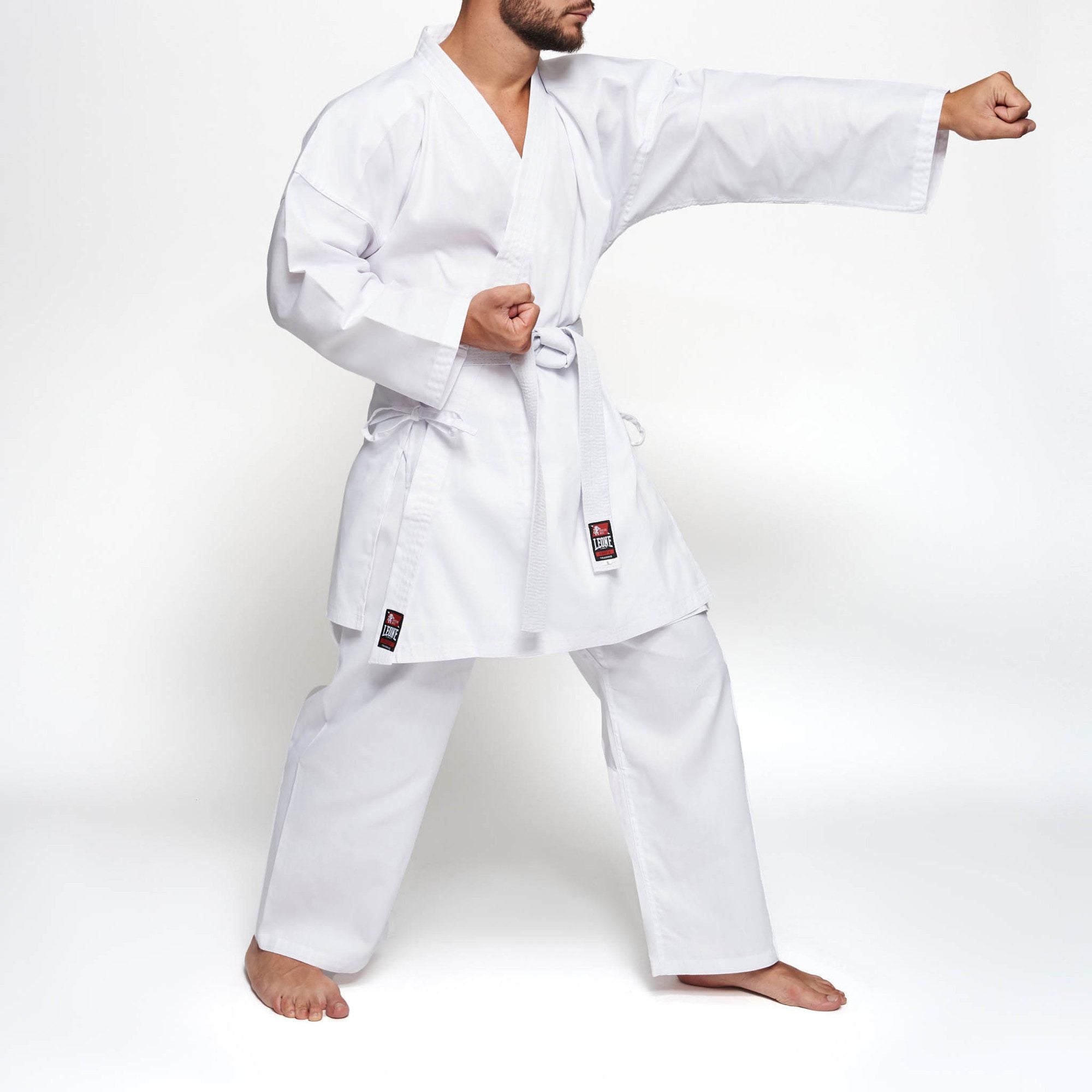 KARATEGI TRAINING LEONE - KARATE