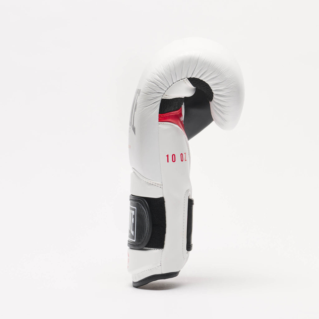 GUANTI DA BOXE IL TECNICO N3 LEONE