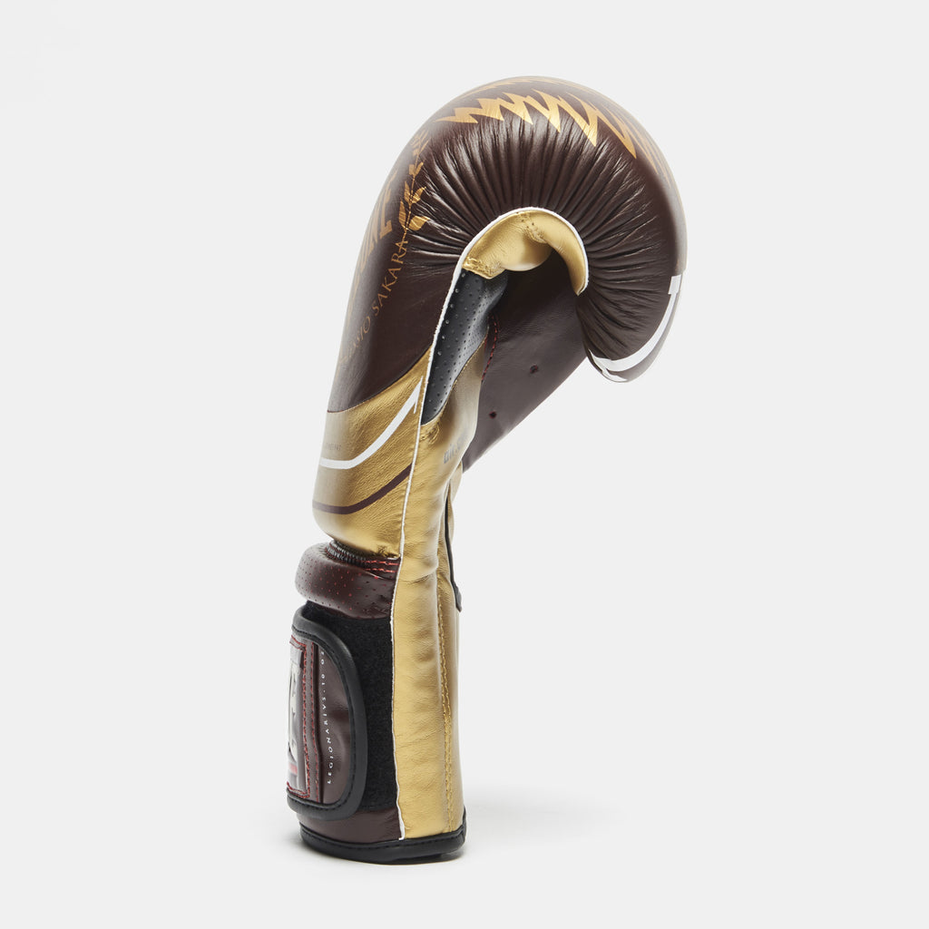 GUANTI BOXE LEGIONARIUS 10oz LEONE