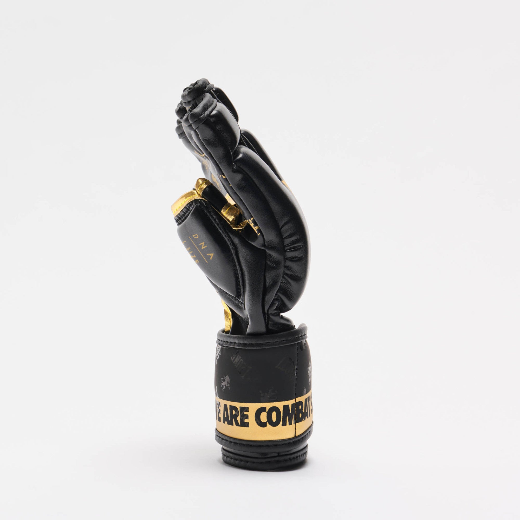 GUANTI DA MMA DNA LEONE