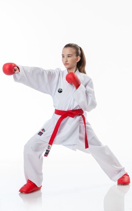 KARATEGI TOKAIDO KUMITE MASTER JUNIOR WKF