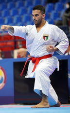 KARATEGI TOKAIDO KATA MASTER TOKYO - KARATE