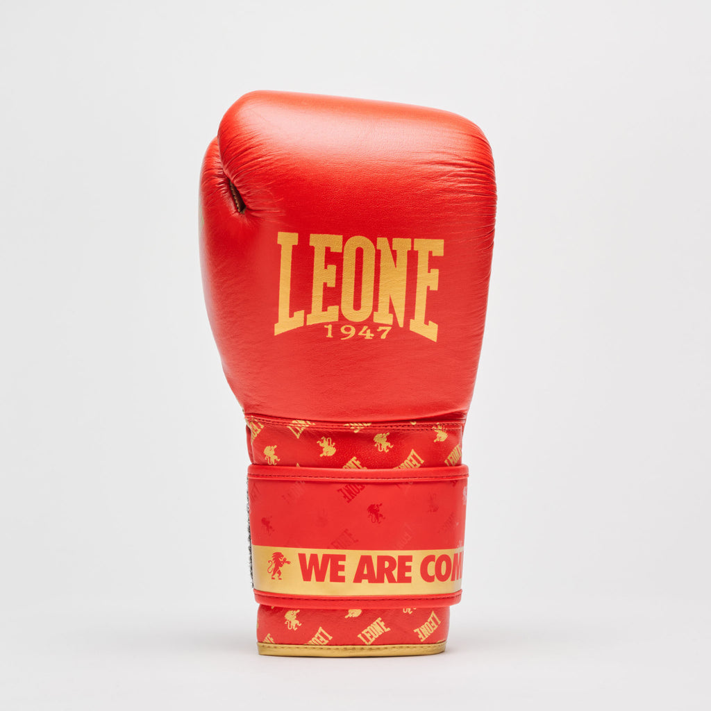 GUANTI BOXE DNA LEONE