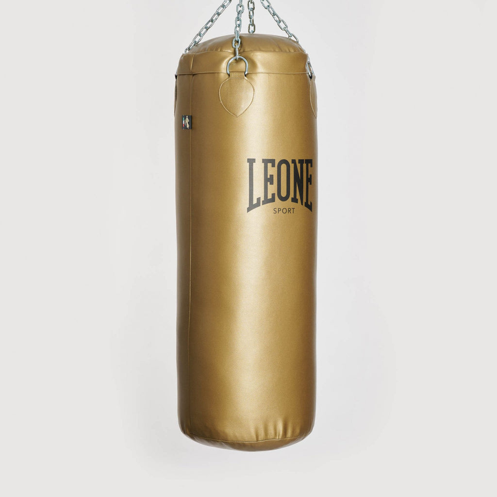 SACCO DA ALLENAMENTO APOLLO VINTAGE LEONE