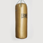SACCO DA ALLENAMENTO APOLLO VINTAGE LEONE