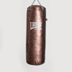 SACCO DA ALLENAMENTO APOLLO VINTAGE LEONE