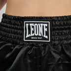 PANTA THAI BASIC W LEONE