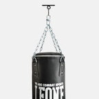 ATTACCO A SOFFITTO LEONE