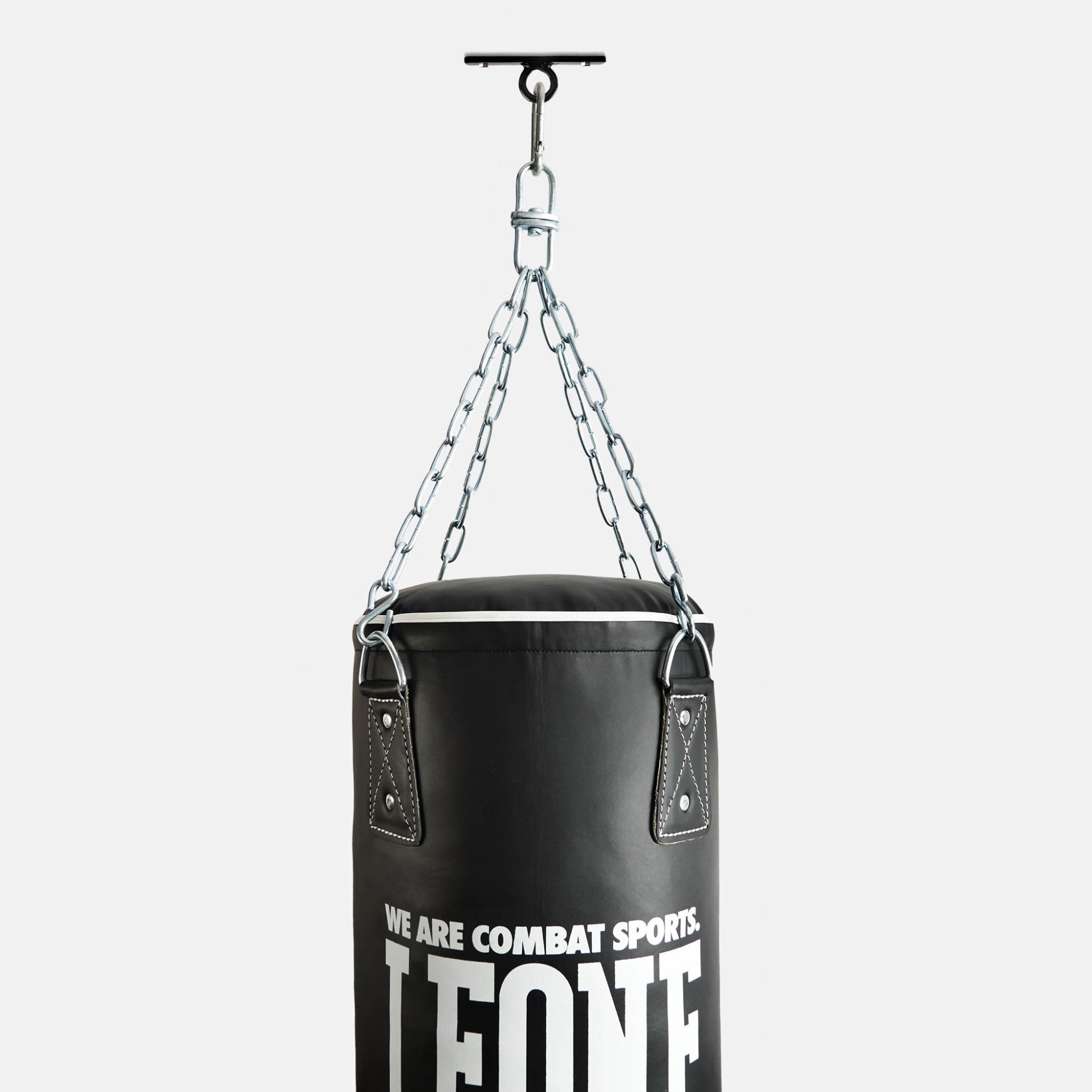 ATTACCO A SOFFITTO LEONE
