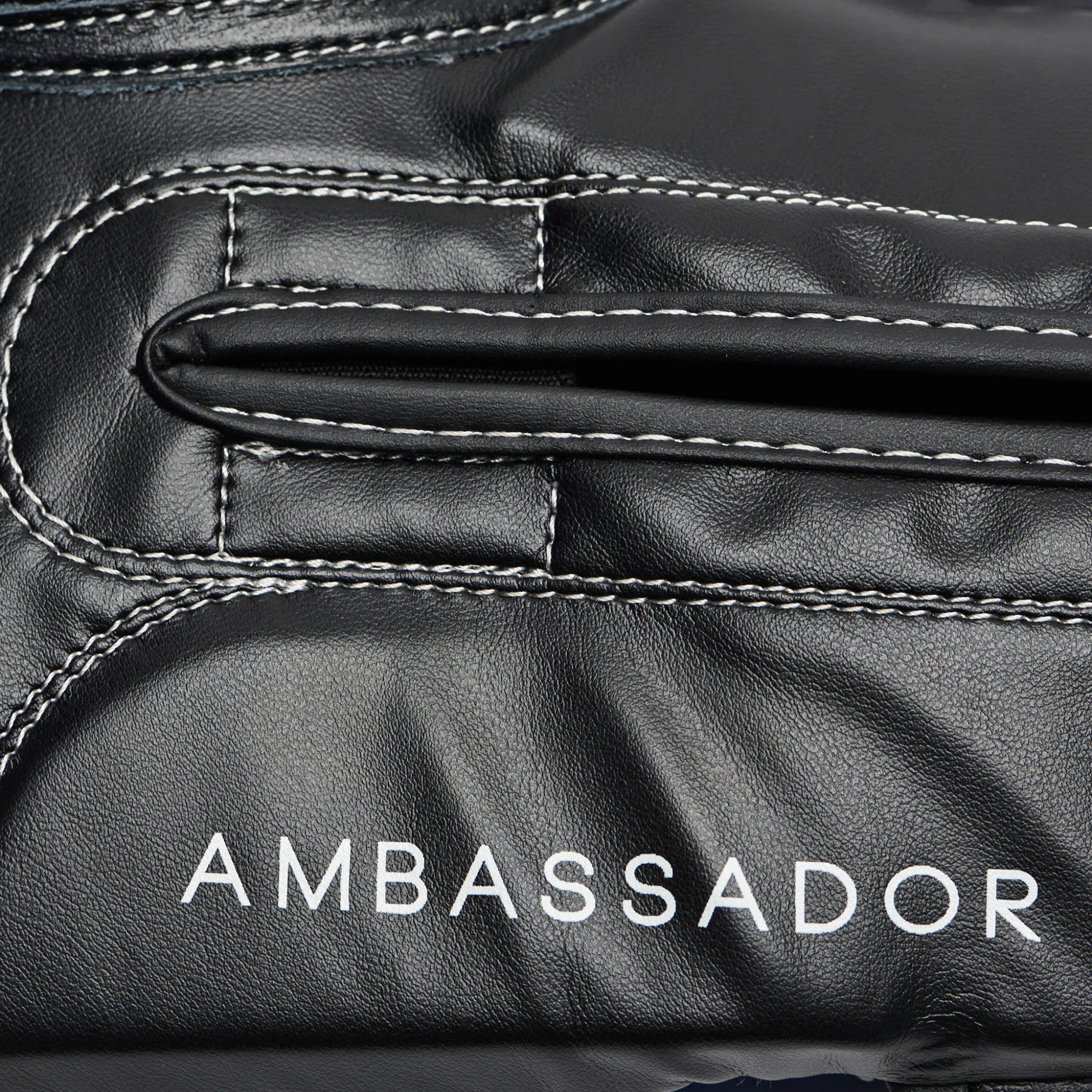 GUANTI DA BOXE AMBASSADOR LEONE