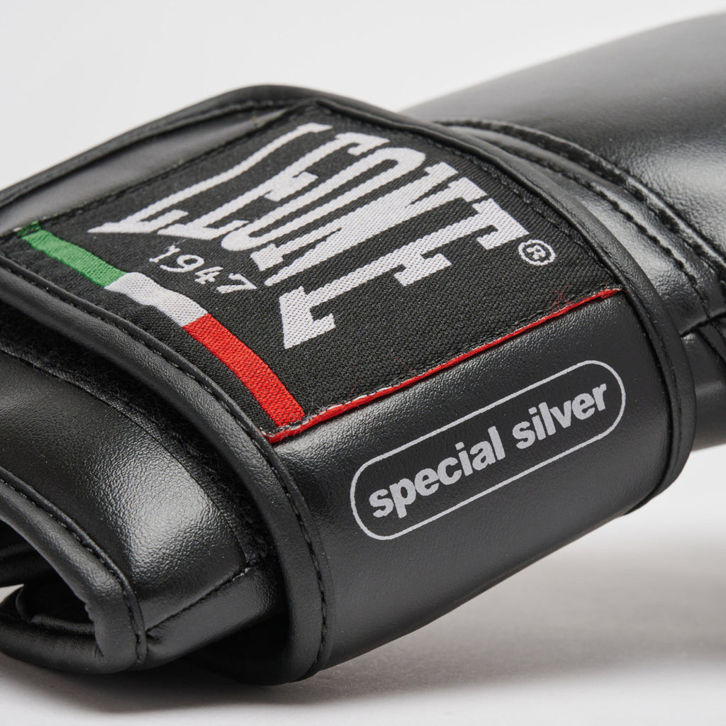 GUANTI DA BOXE THUNDER LEONE -JUNIOR