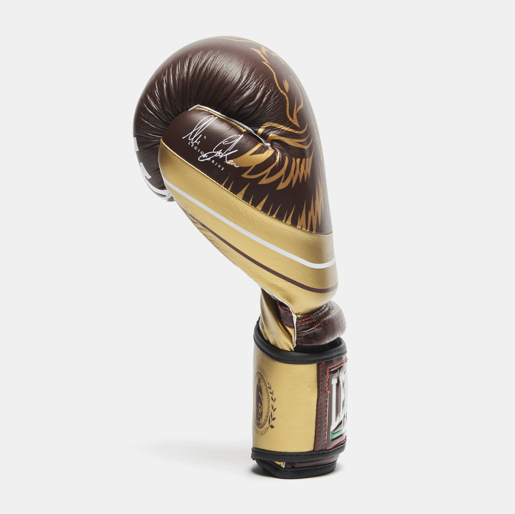 GUANTI BOXE LEGIONARIUS 10oz LEONE