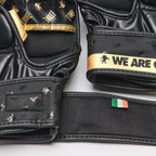 GUANTI DA MMA DNA LEONE