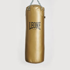 SACCO DA ALLENAMENTO APOLLO VINTAGE LEONE