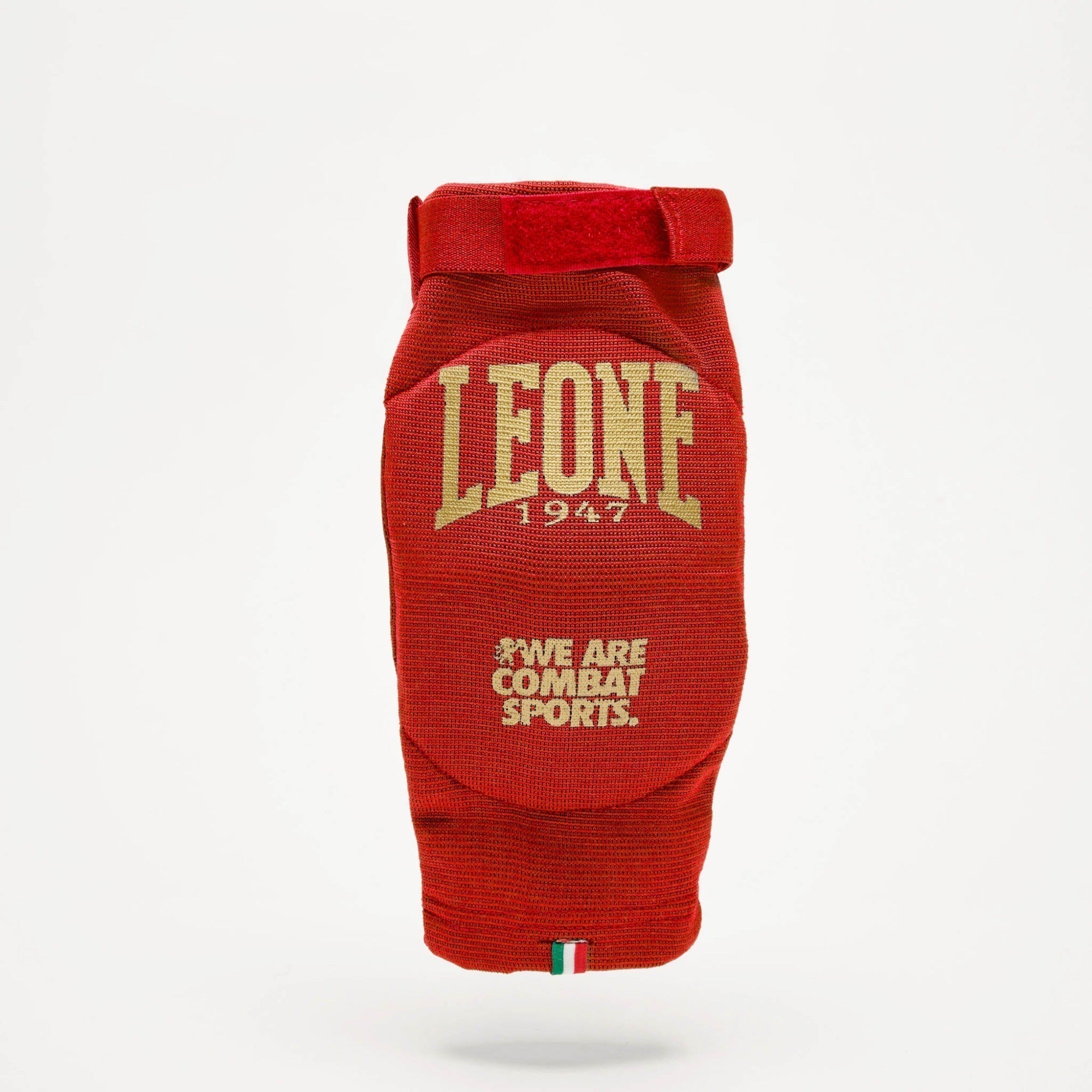 PARAGOMITI LEONE