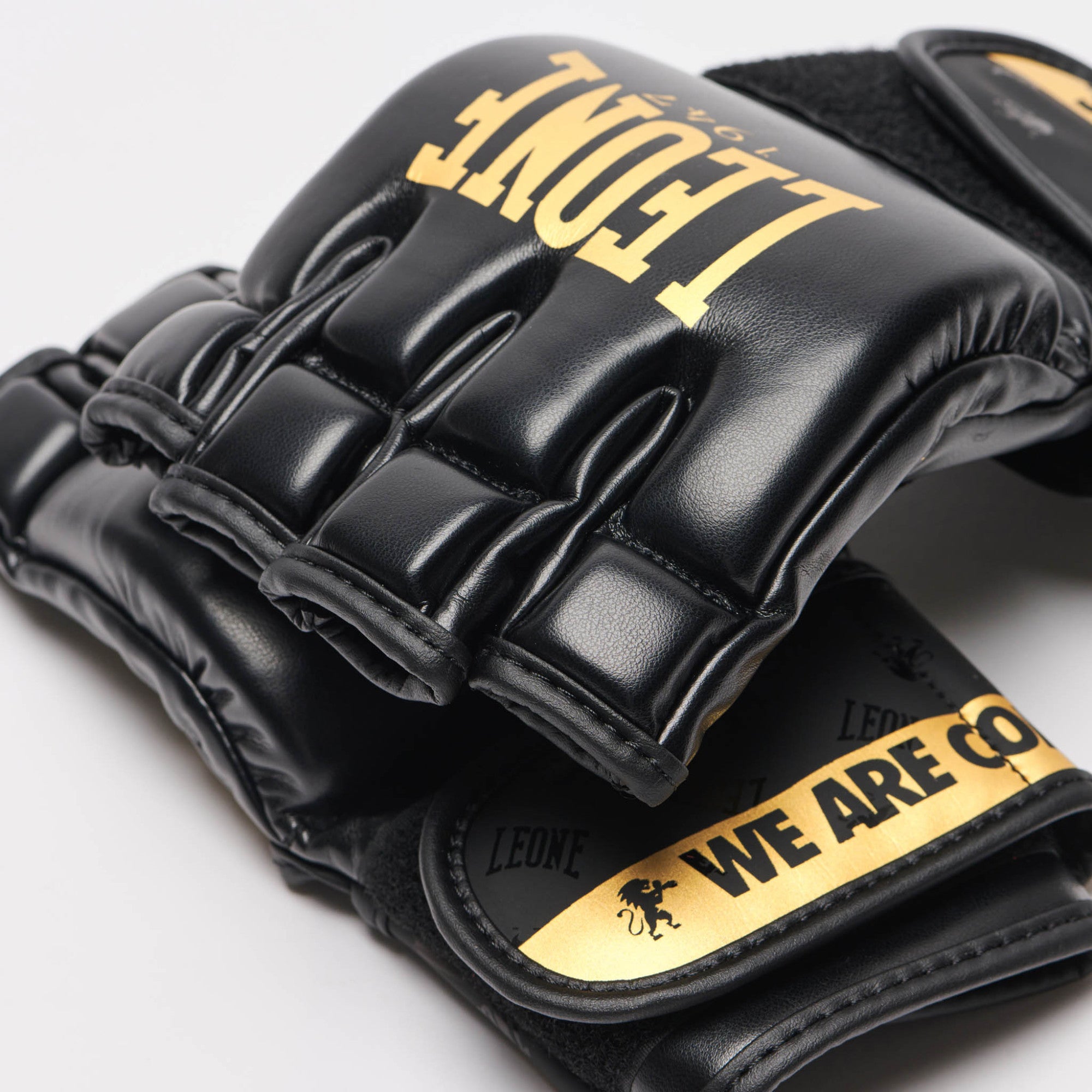 GUANTI DA MMA DNA LEONE