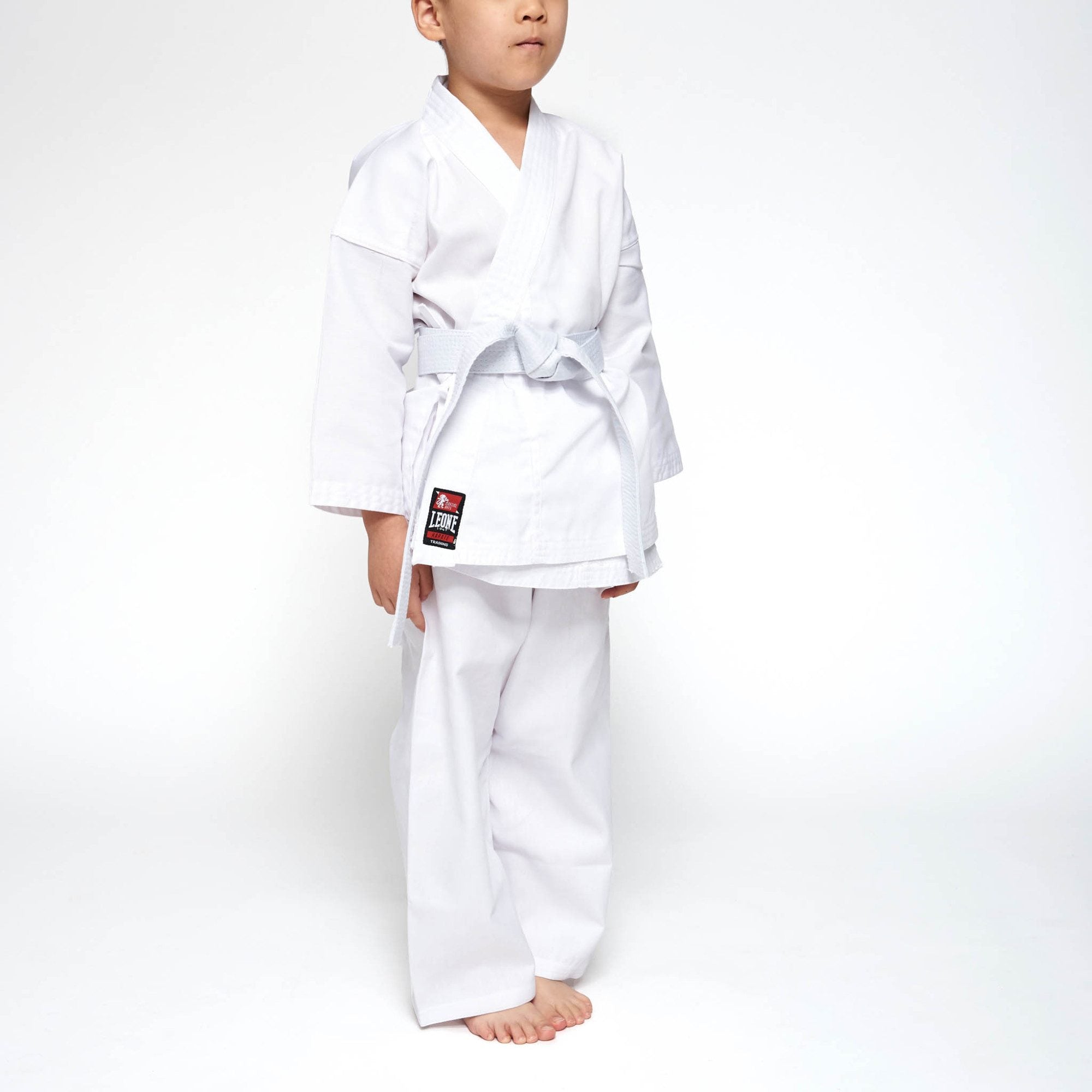 KARATEGI TRAINING LEONE - KARATE
