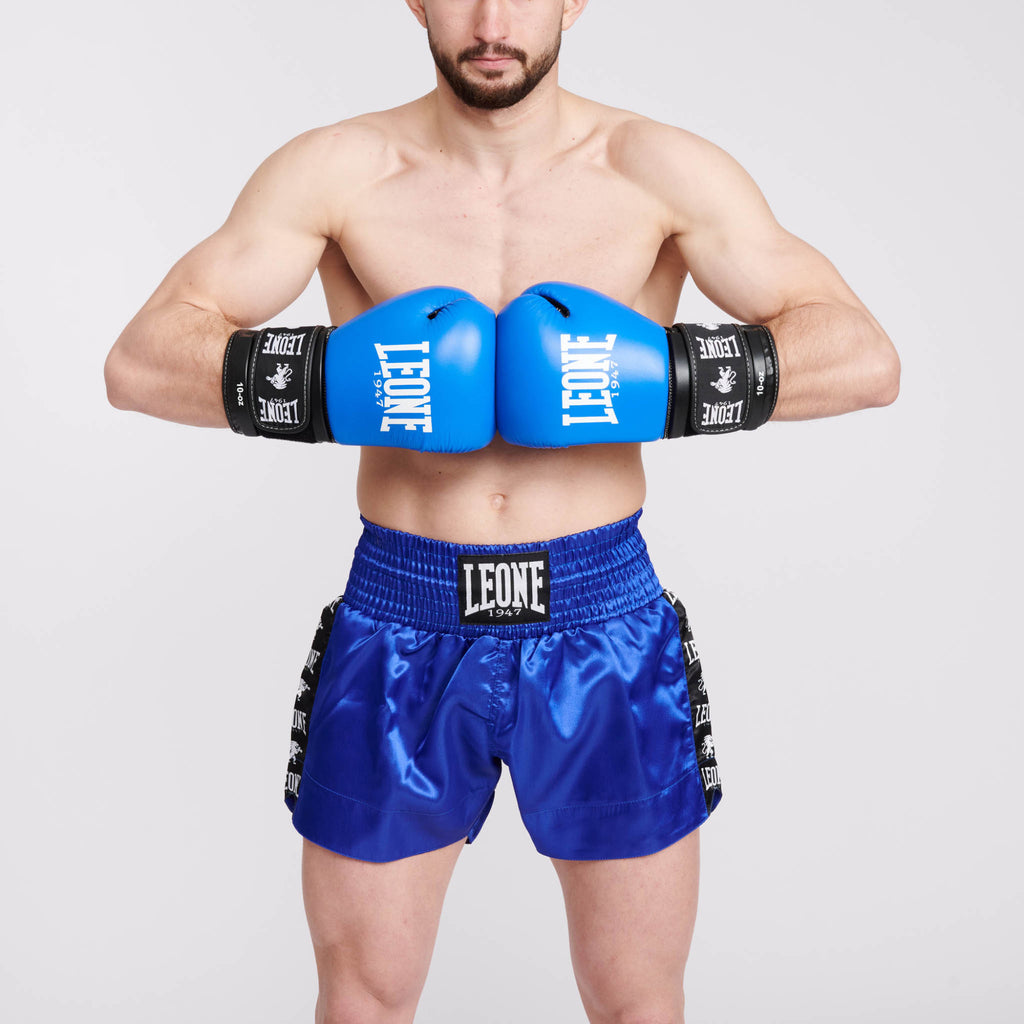 GUANTI DA BOXE AMBASSADOR LEONE