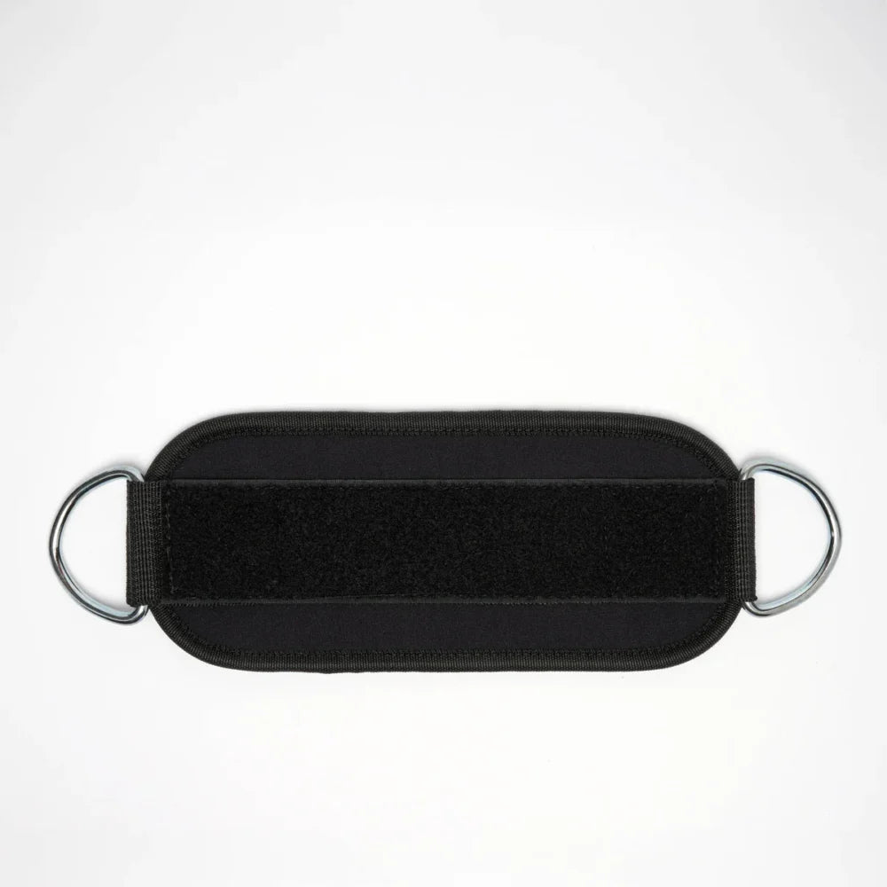 CAVIGLIERA CON GANCI LEONE