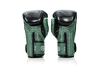 GUANTONI DA BOXE FAIRTEX