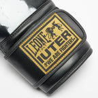 GUANTI BOXE LEONE X IUTER