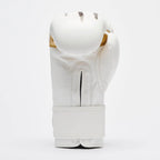 GUANTI BOXE LEONE X IUTER