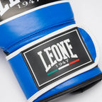 GUANTI BOXE SHOCK PRO LEONE
