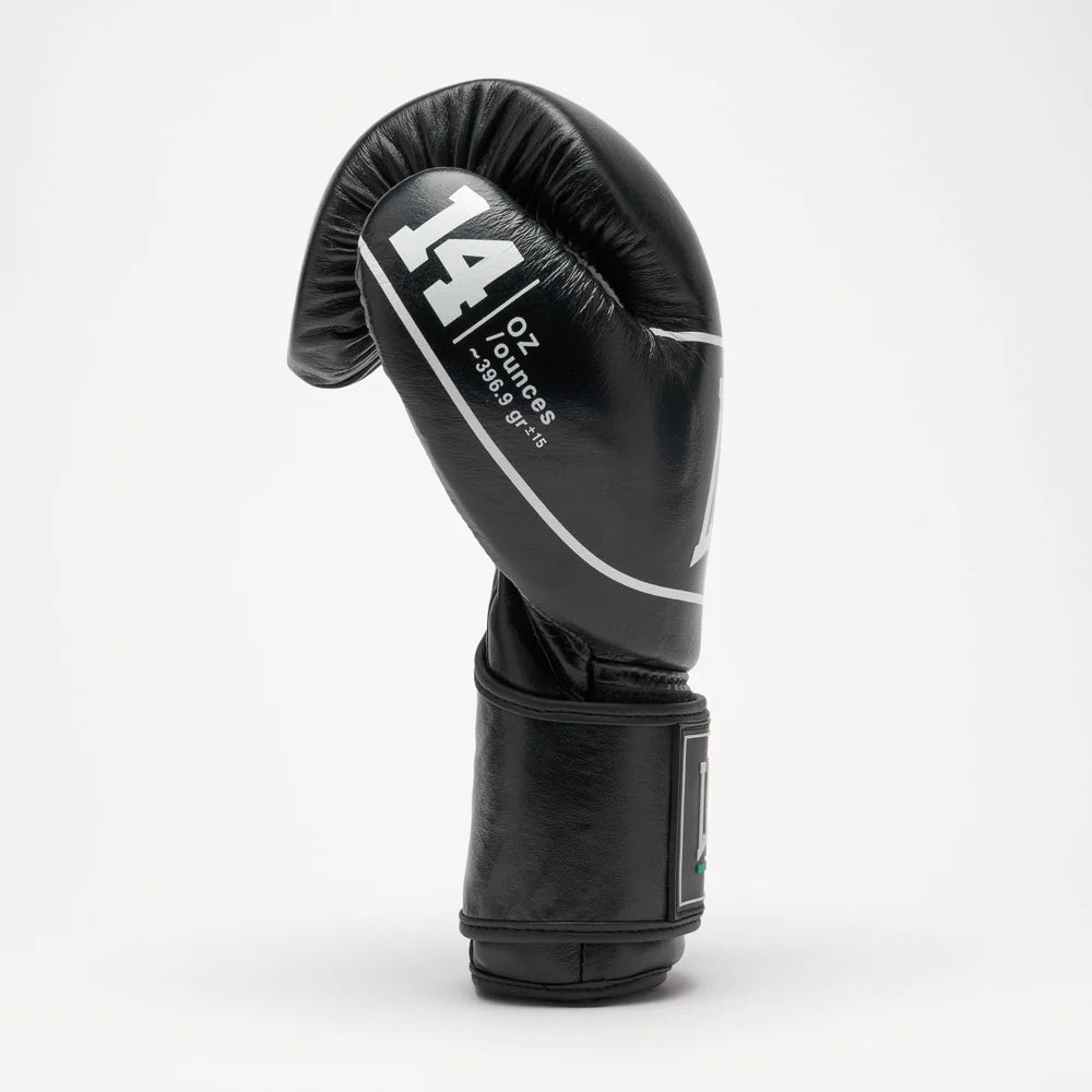 GUANTI BOXE SHOCK PRO LEONE