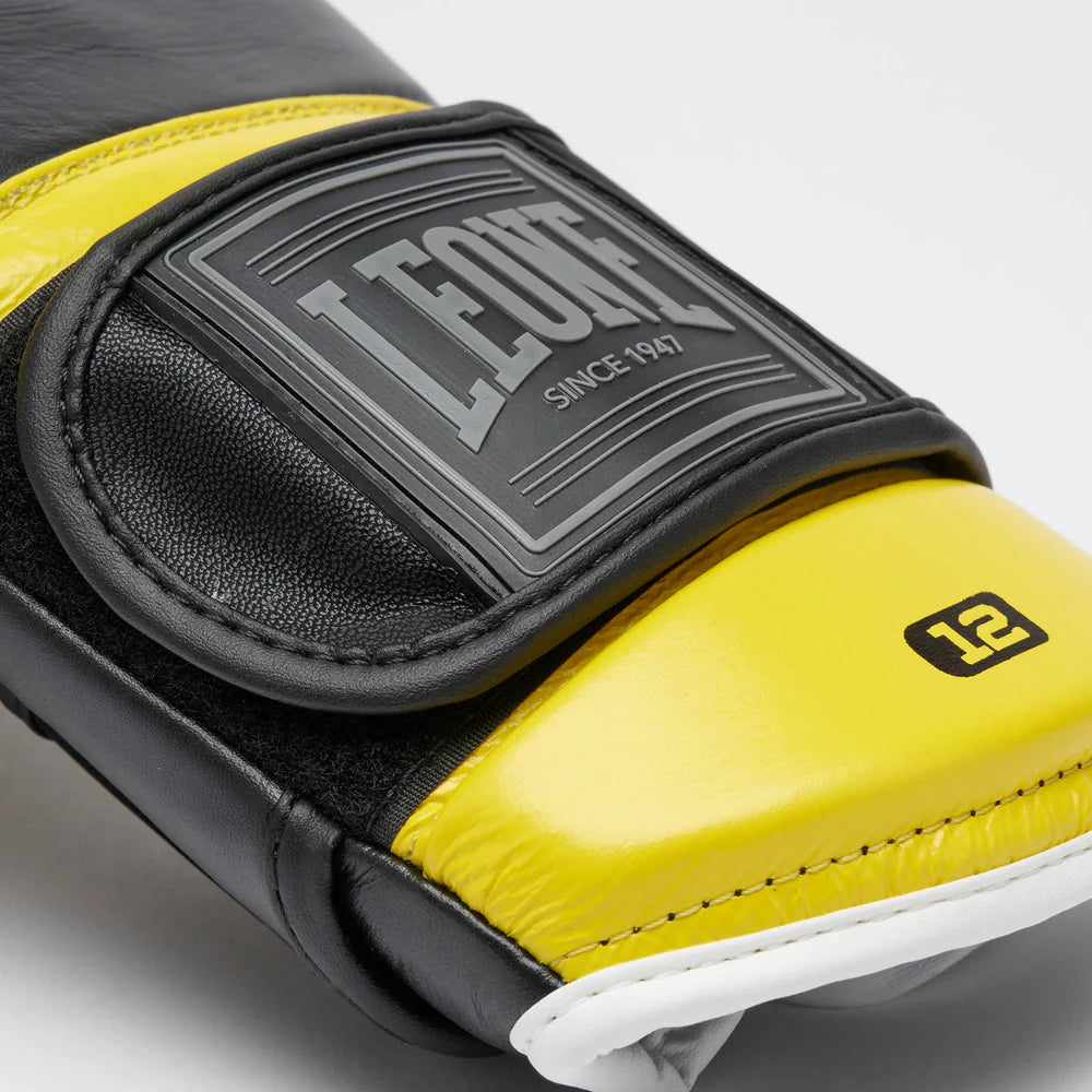 GUANTI BOXE PROFESSIONAL 2 LEONE